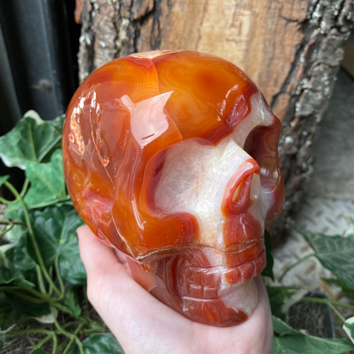 Carnelian Skull - Funky Stuff