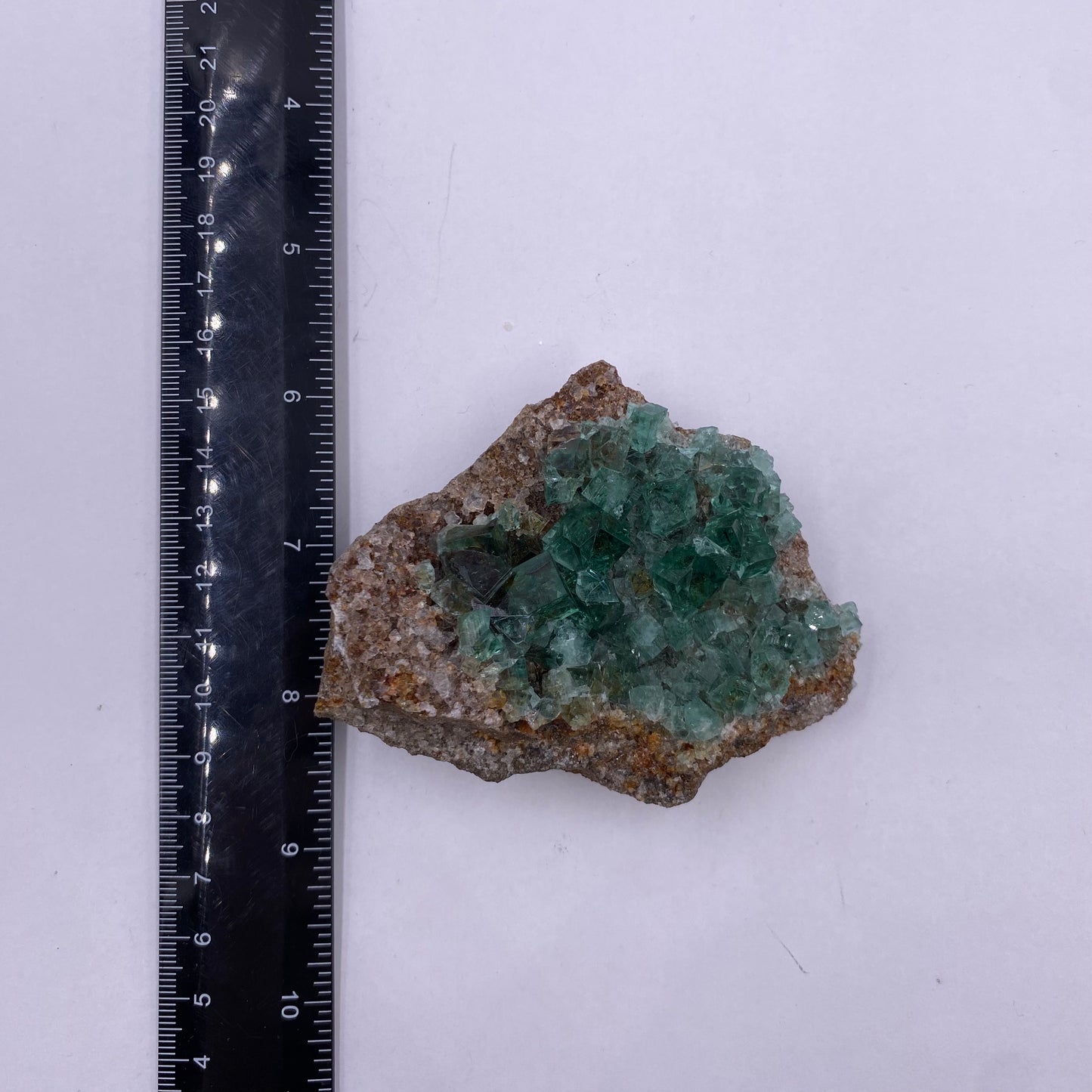 Rogerley Fluorite - UV Reactive - Funky Stuff