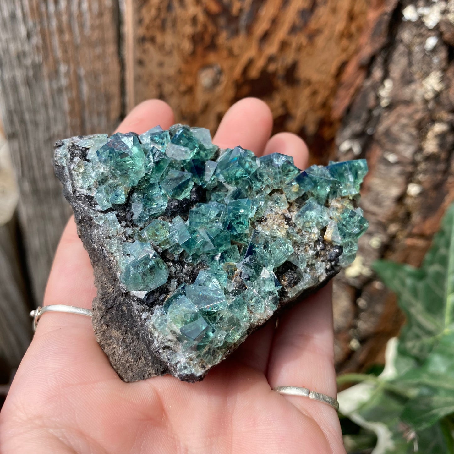 Rogerley Fluorite - UV Reactive - Funky Stuff
