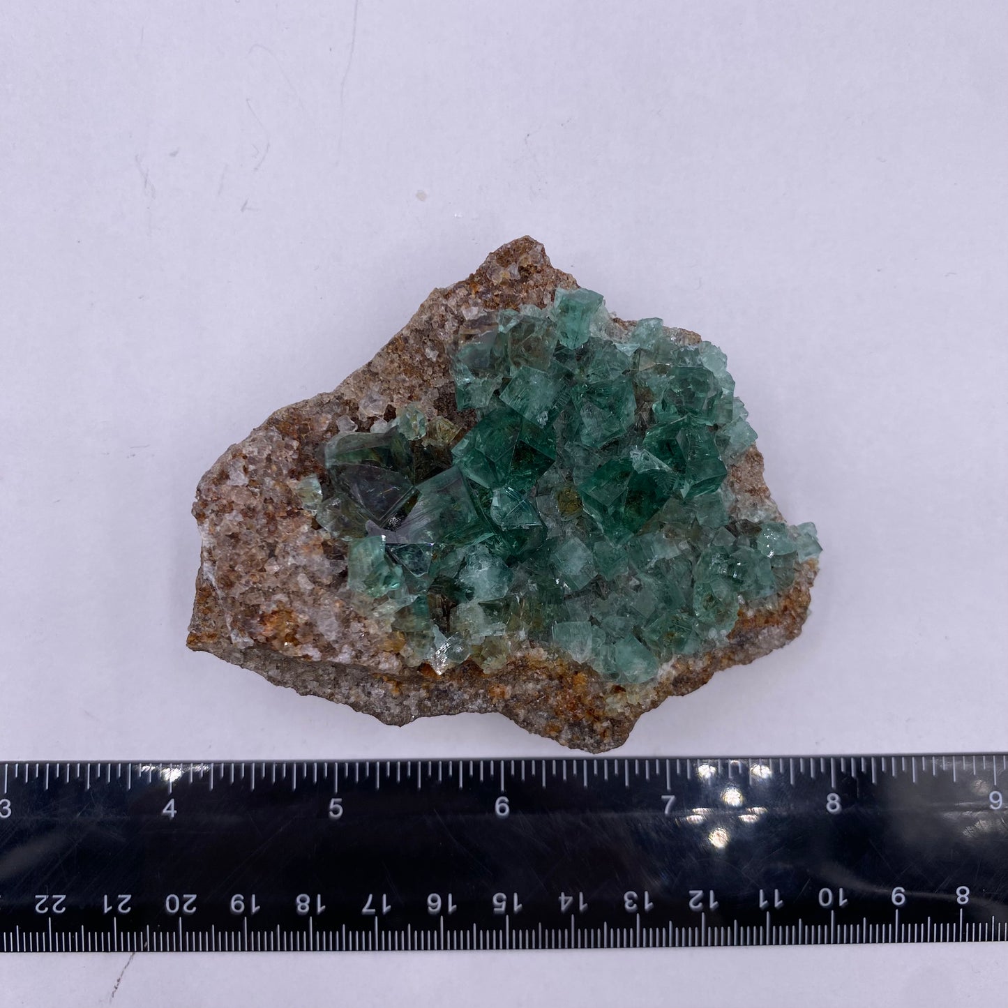 Rogerley Fluorite - UV Reactive - Funky Stuff