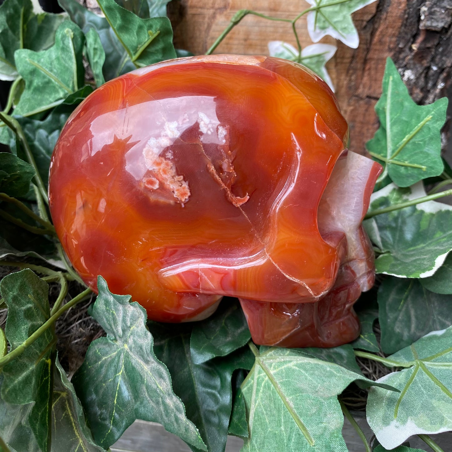 Carnelian Skull - Funky Stuff