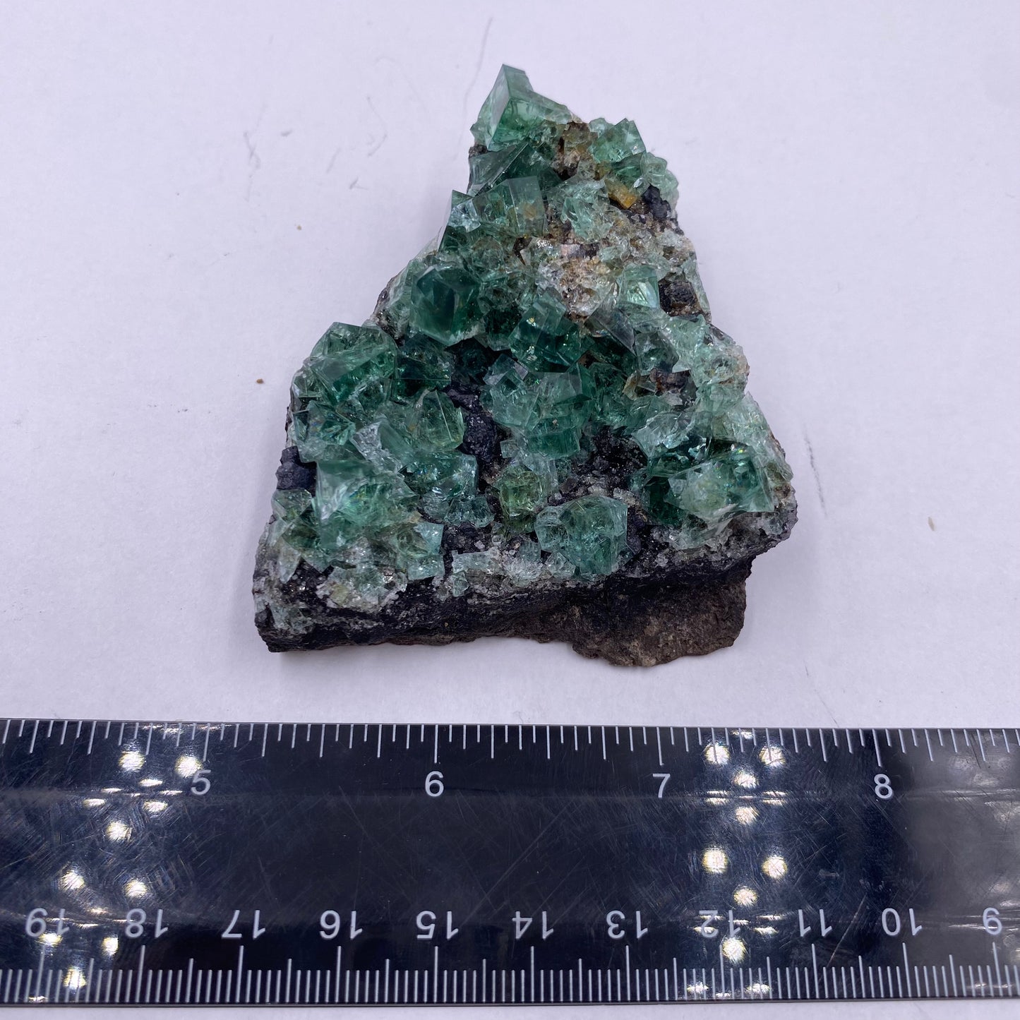 Rogerley Fluorite - UV Reactive - Funky Stuff