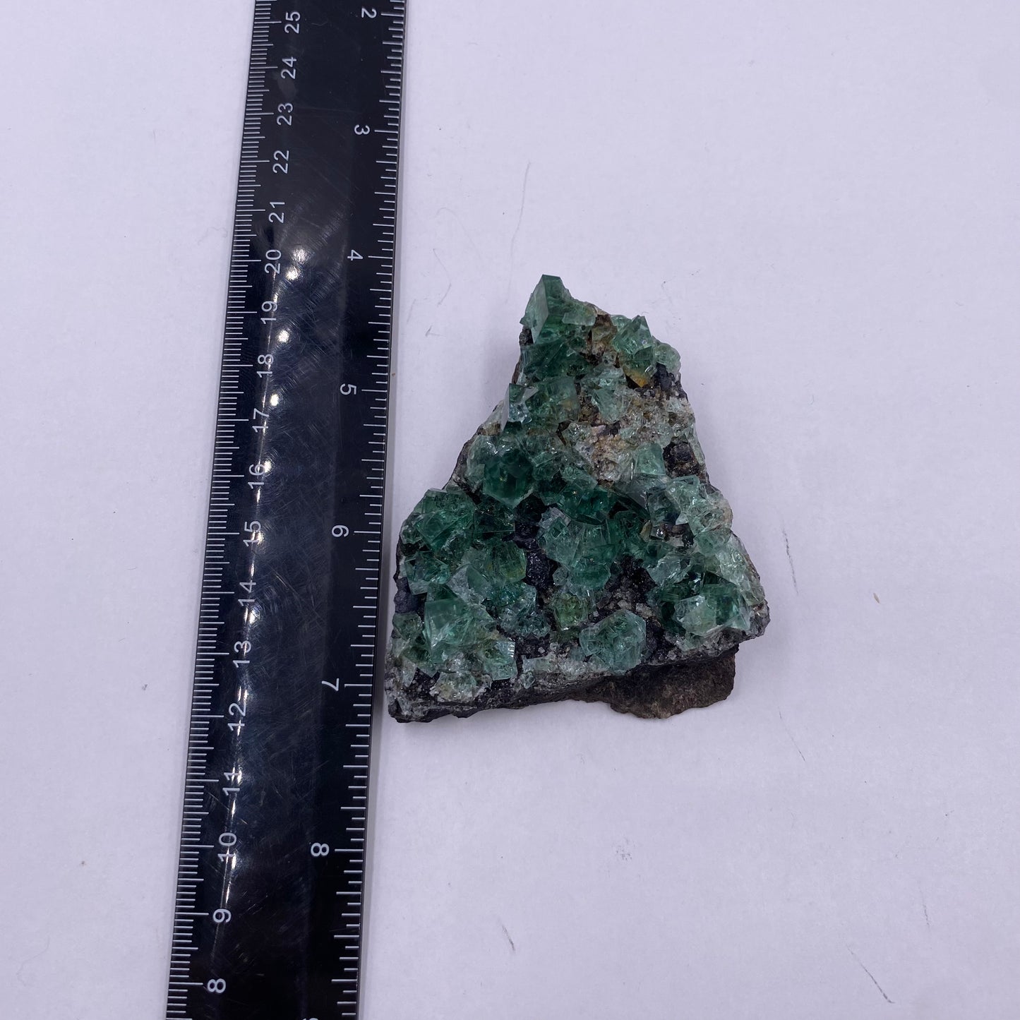 Rogerley Fluorite - UV Reactive - Funky Stuff