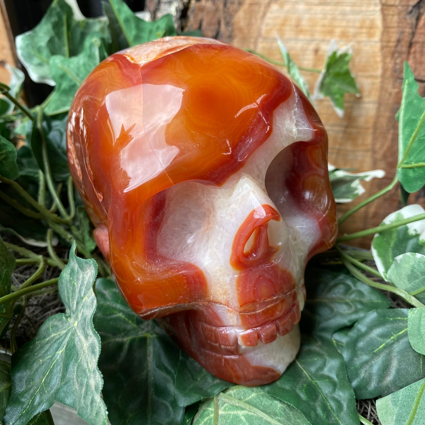 Carnelian Skull - Funky Stuff