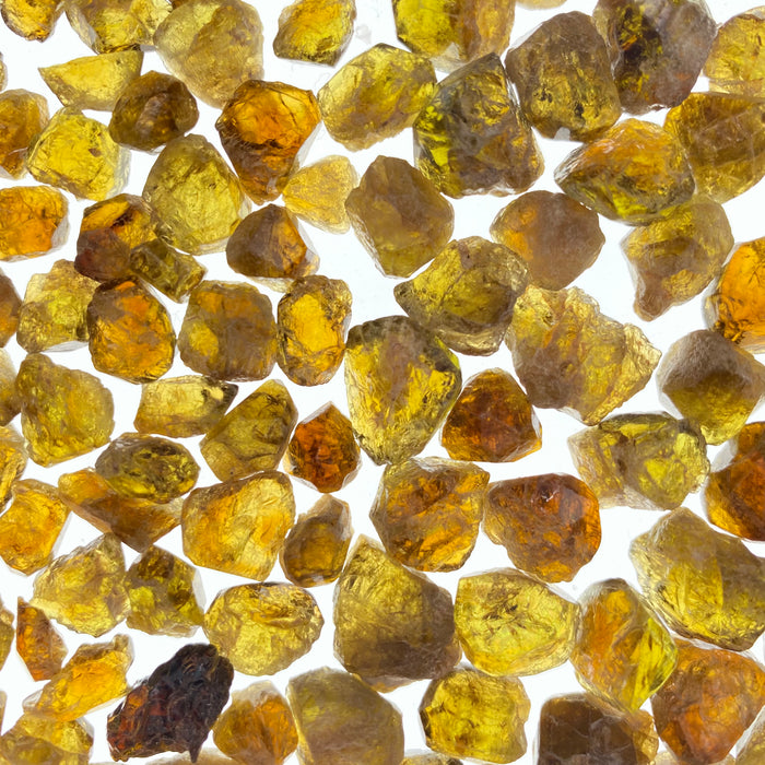 Dravite Tourmaline (Thumbnail Case Specimen) - Funky Stuff