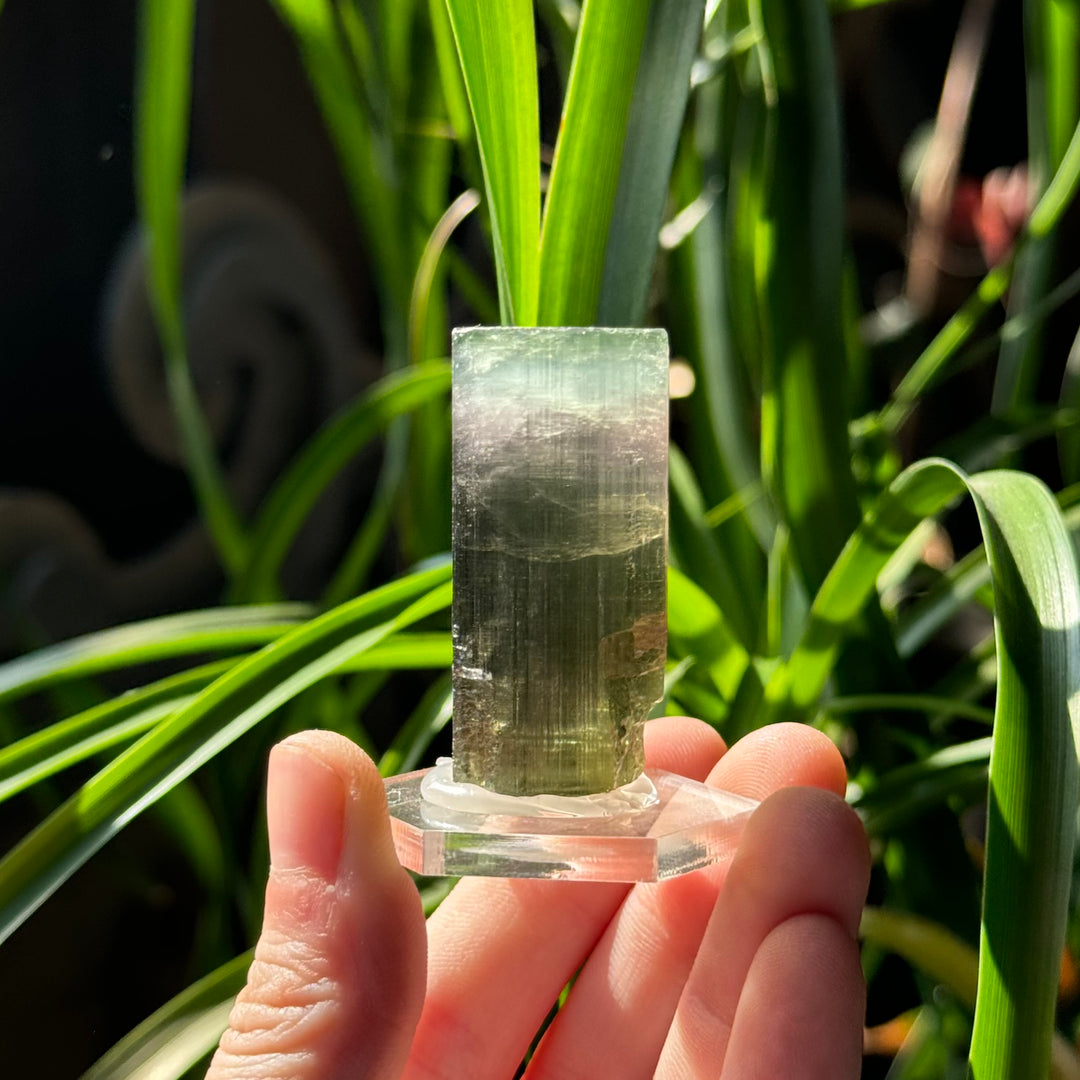 Tourmaline - Funky Stuff
