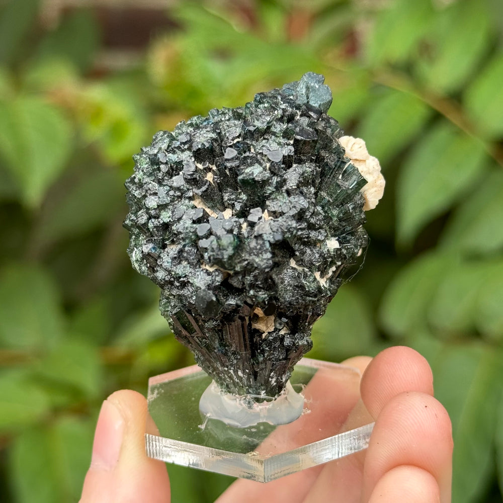 Green Tourmaline - Funky Stuff