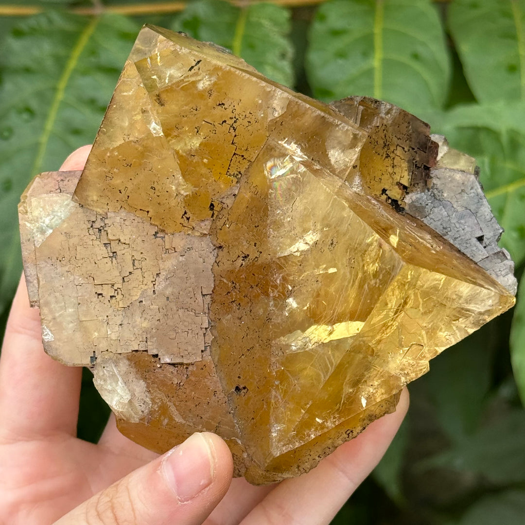 Fluorite - Funky Stuff