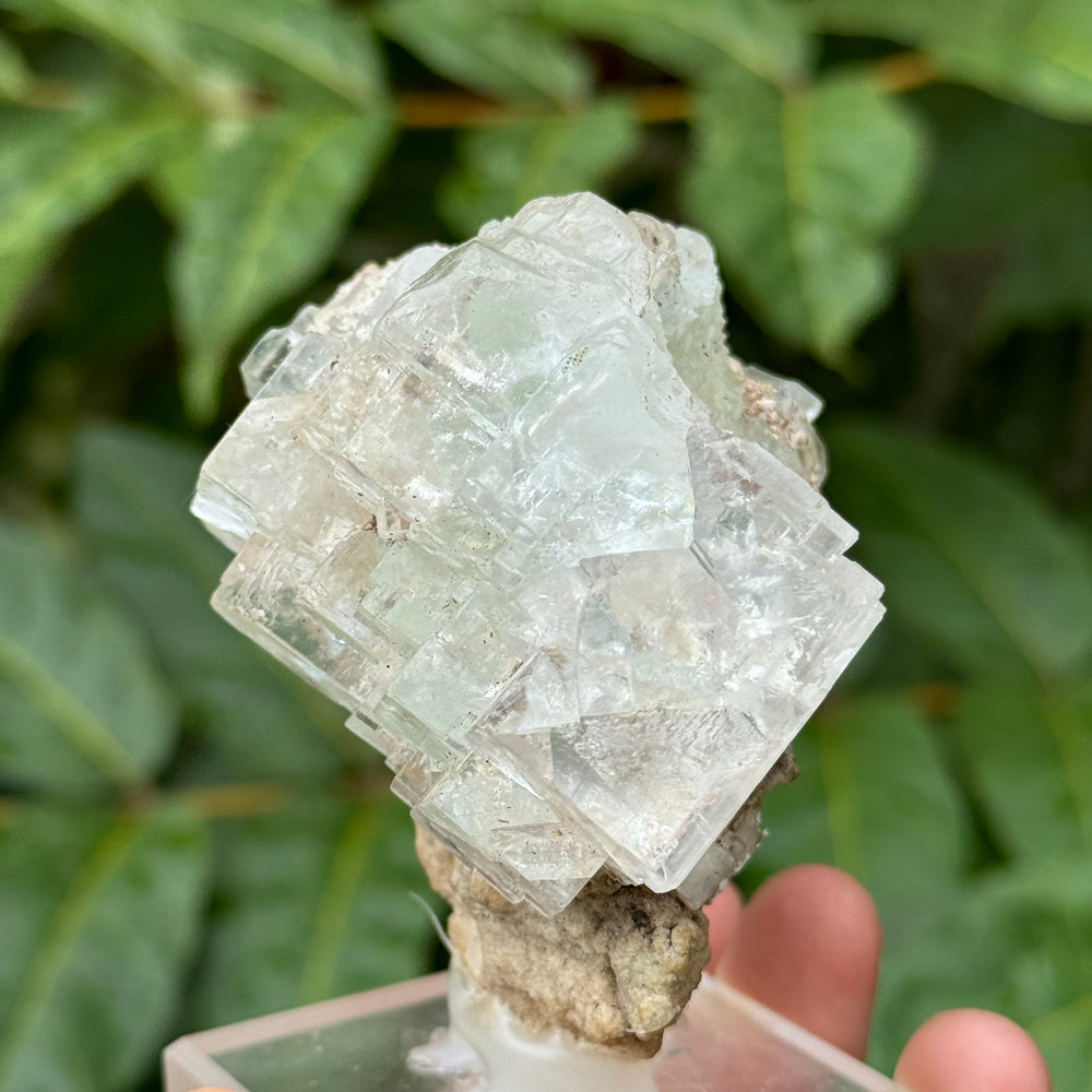 Fluorite - Funky Stuff