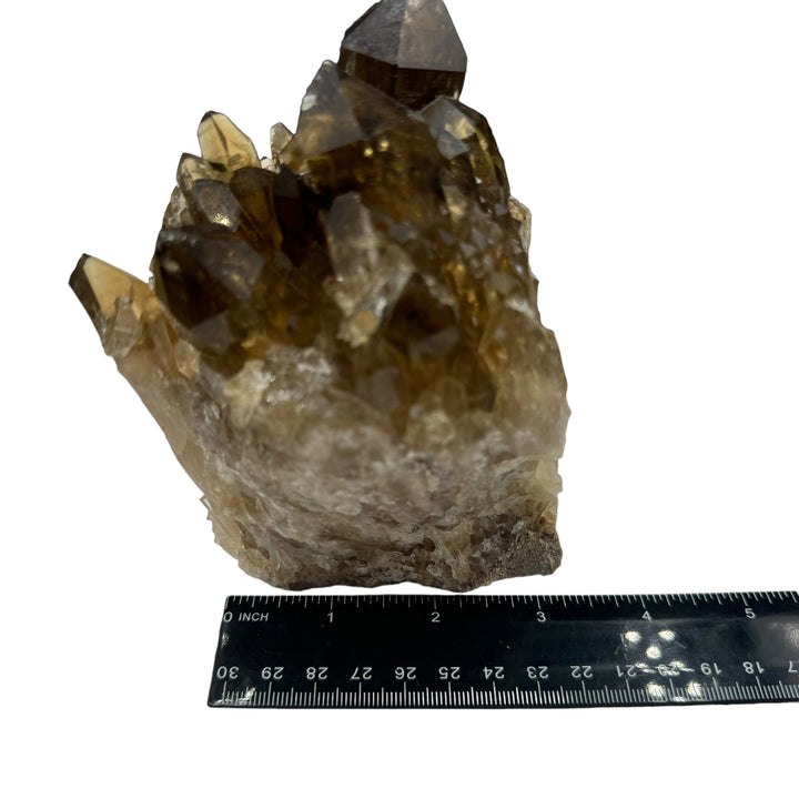 Kundalini Citrine - Funky Stuff