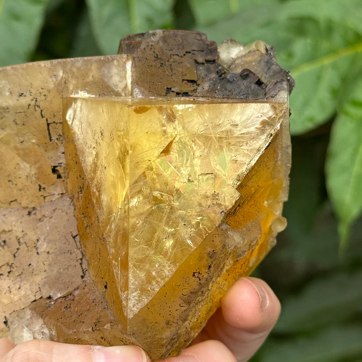 Fluorite - Funky Stuff