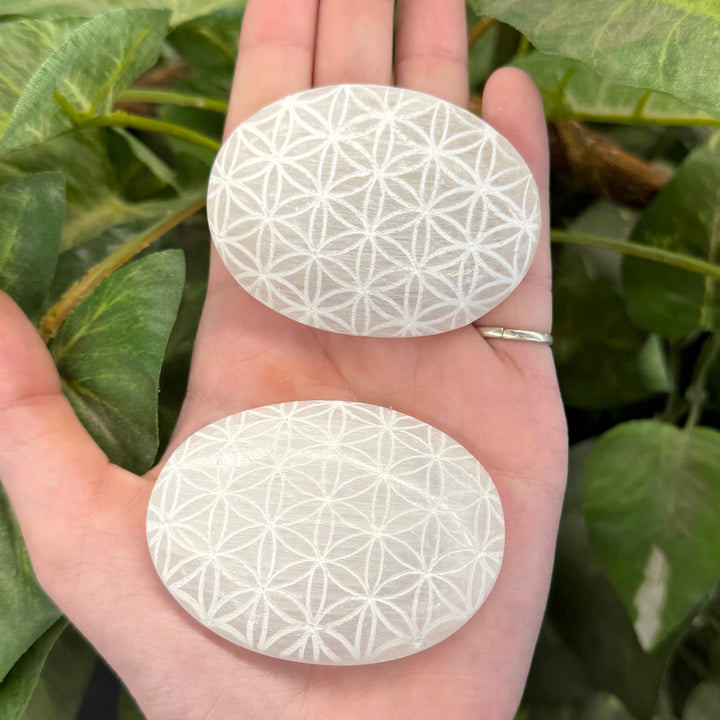 Engraved Selenite Palmstone - Flower Of Life - Funky Stuff