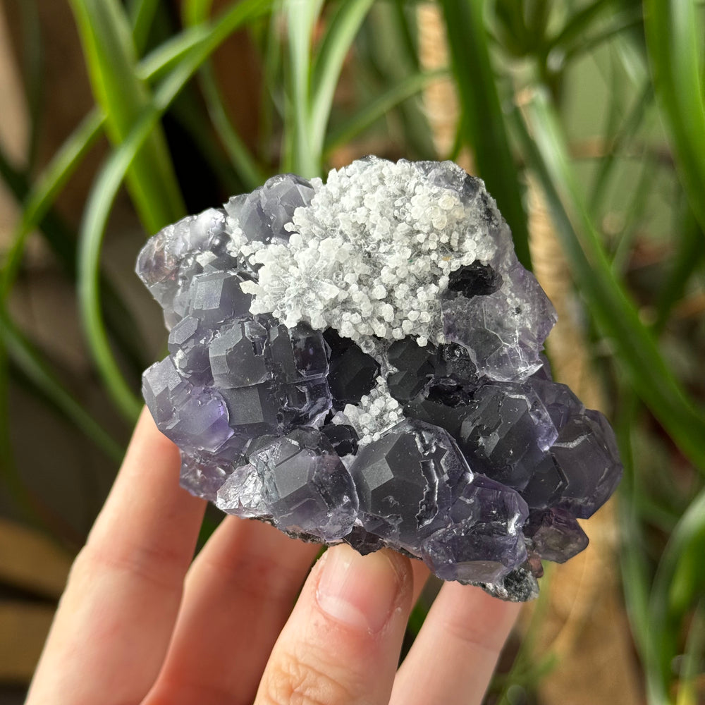 Fluorite - Funky Stuff