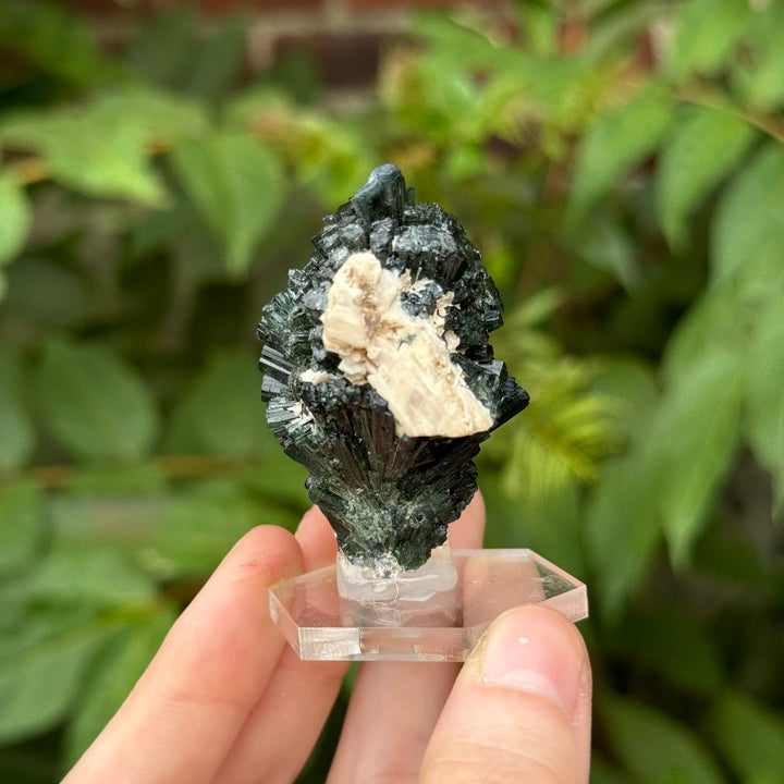 Green Tourmaline - Funky Stuff