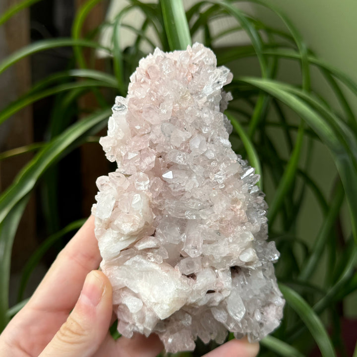 Pink Quartz - Colombia - Funky Stuff