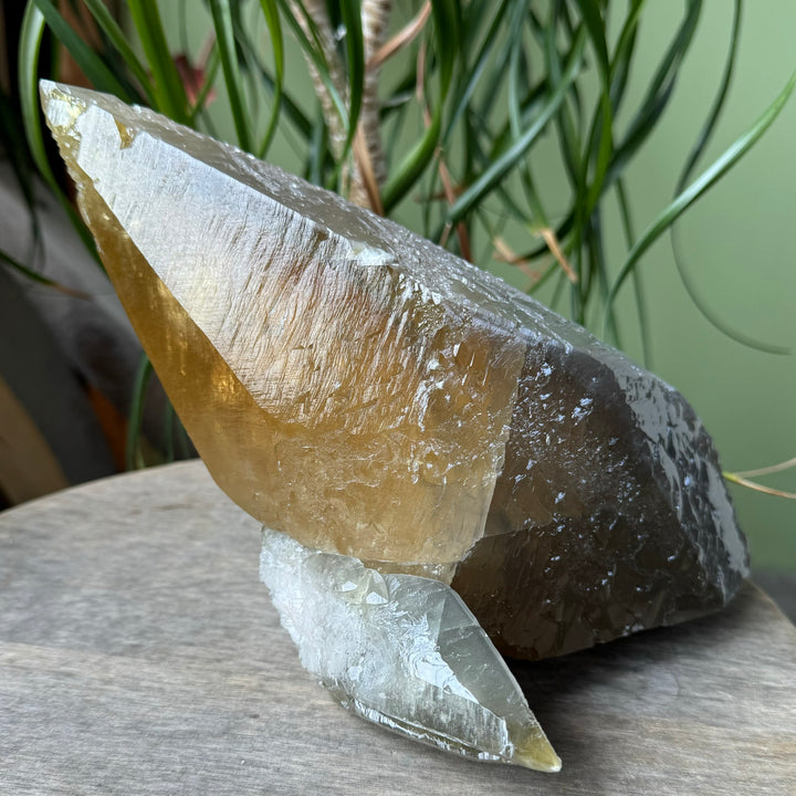 Calcite - Funky Stuff