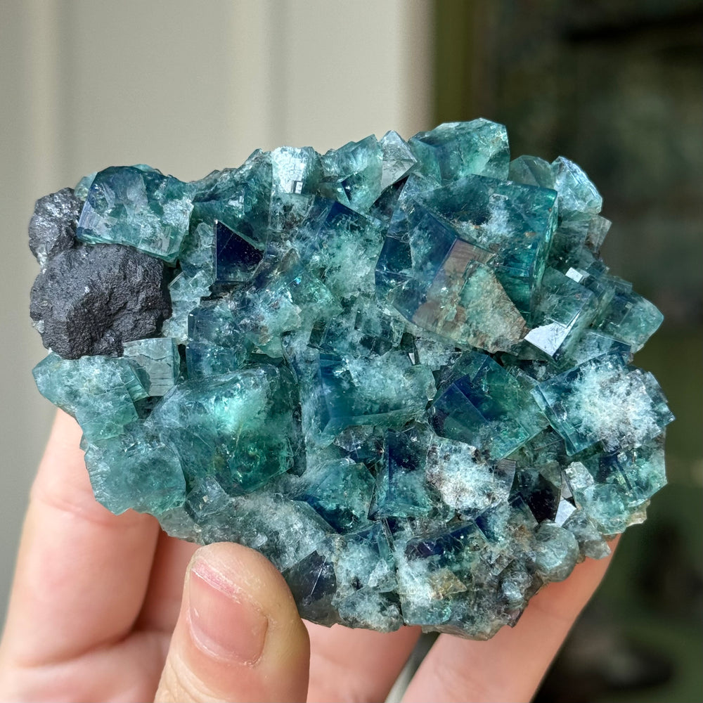 Rogerley Fluorite - UV Reactive - Funky Stuff