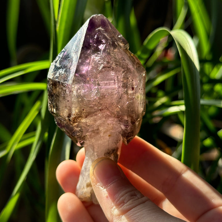 Shangaan Amethyst Scepter - Funky Stuff