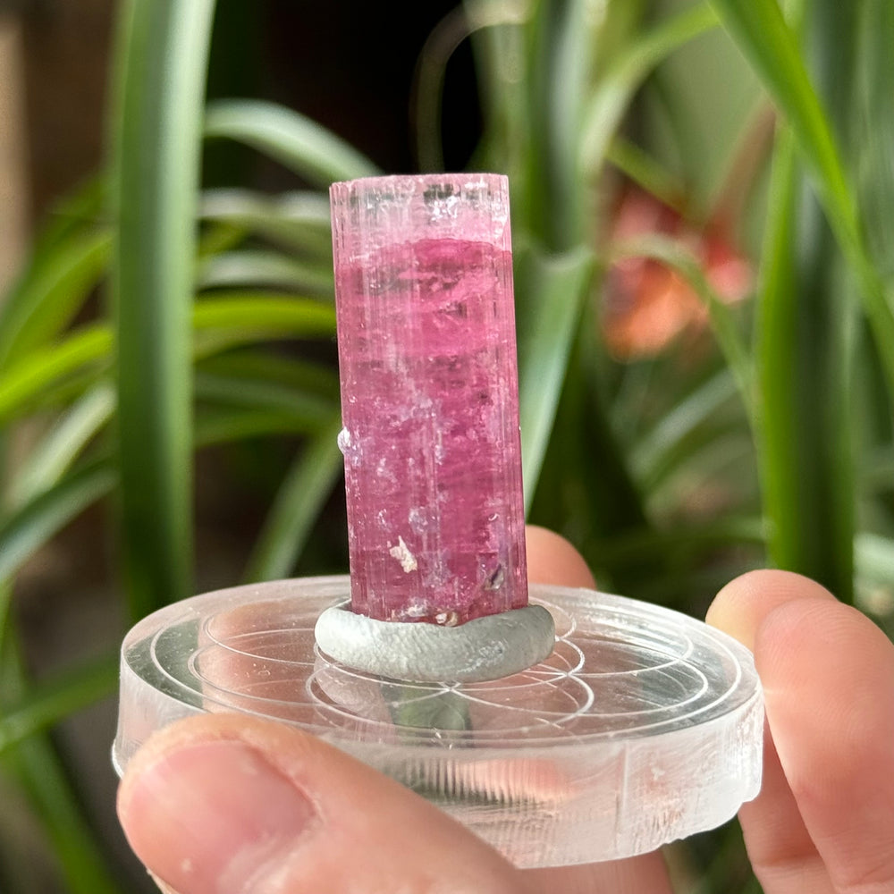 Pink Tourmaline - Funky Stuff