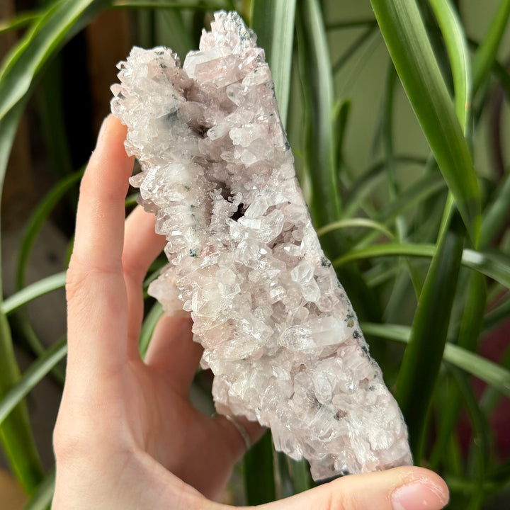 Pink Quartz - Colombia - Funky Stuff