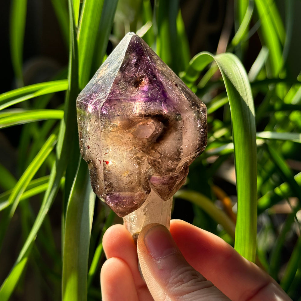 Shangaan Amethyst Scepter - Funky Stuff