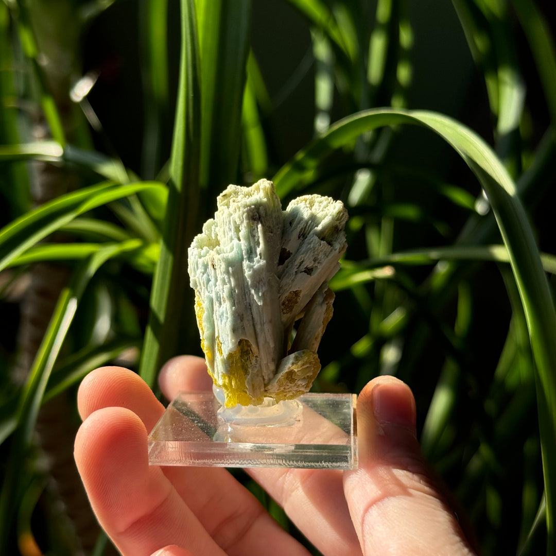 Plumbogummite - Funky Stuff