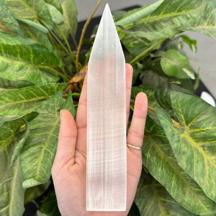 Selenite Point Plate - Funky Stuff