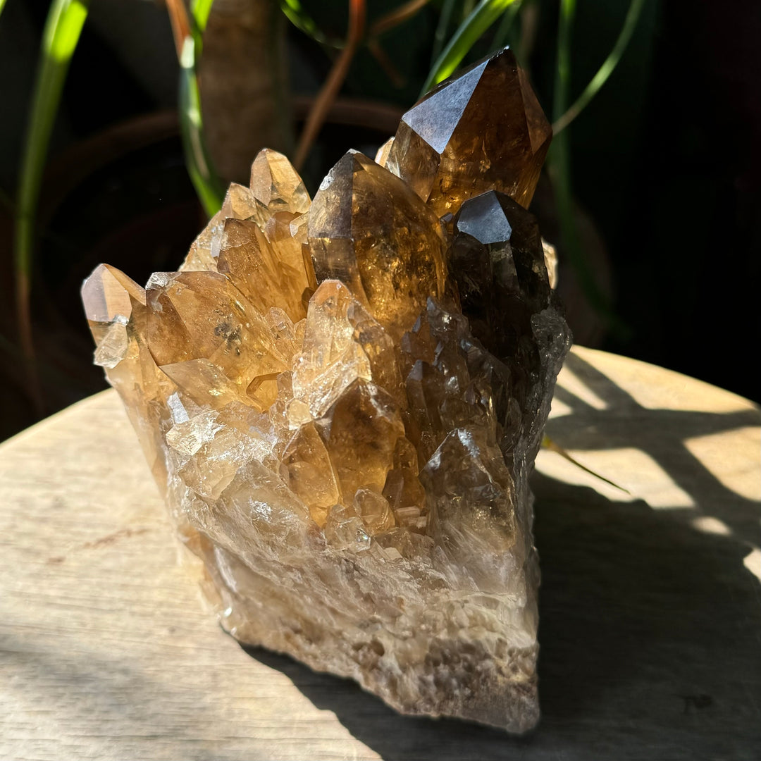 Kundalini Citrine - Funky Stuff