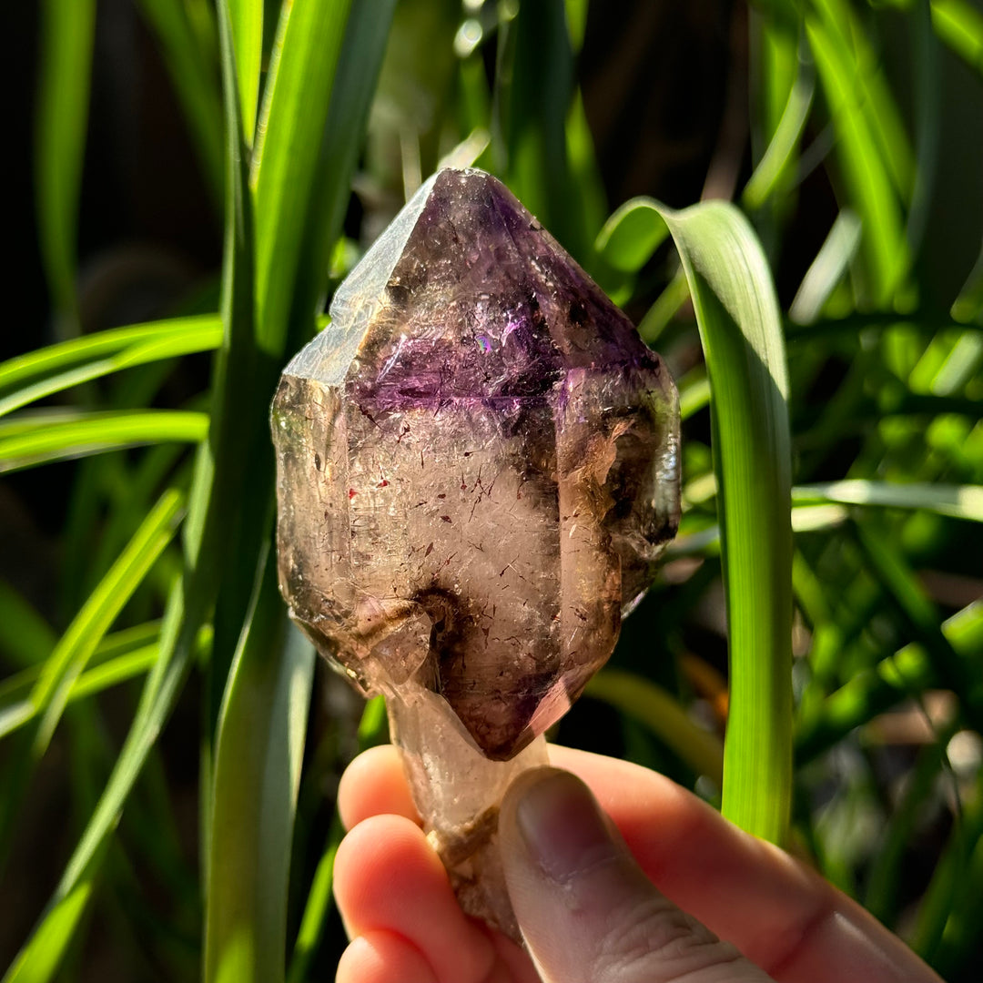 Shangaan Amethyst Scepter - Funky Stuff