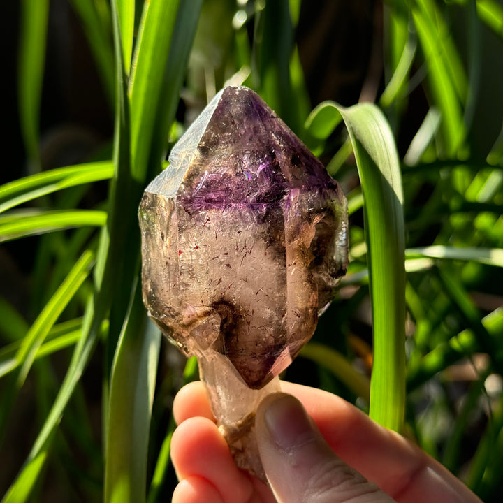 Shangaan Amethyst Scepter - Funky Stuff