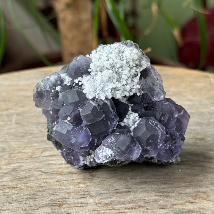 Fluorite - Funky Stuff