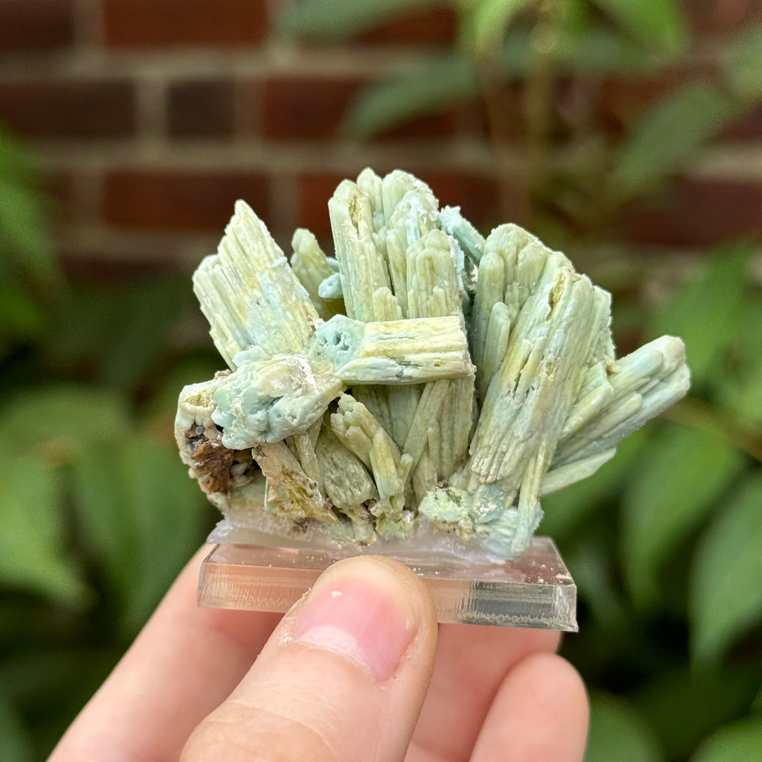 Plumbogummite - Funky Stuff