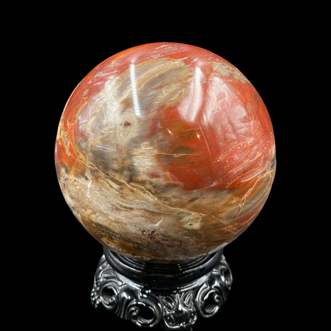Petrified Wood Sphere - Funky Stuff