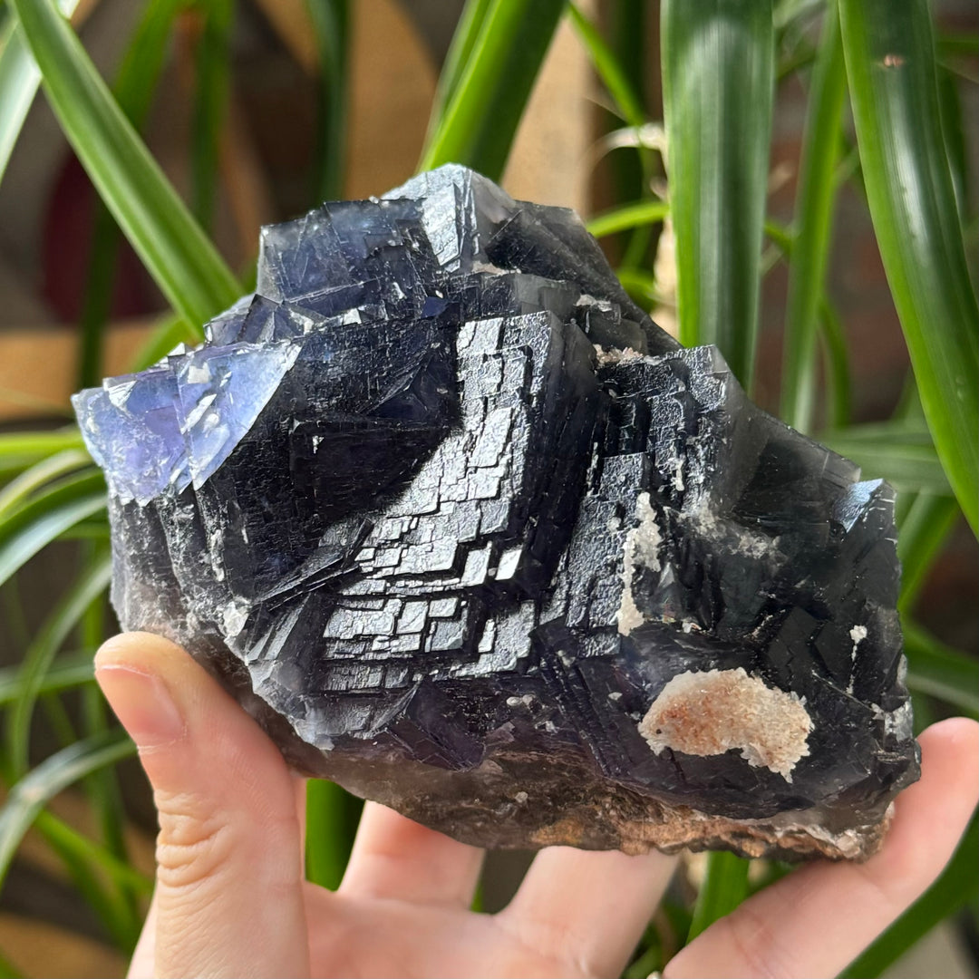 Fluorite - Pakistan - Funky Stuff