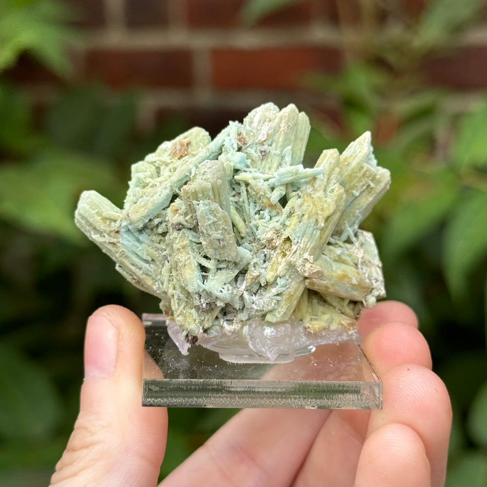 Plumbogummite - Funky Stuff