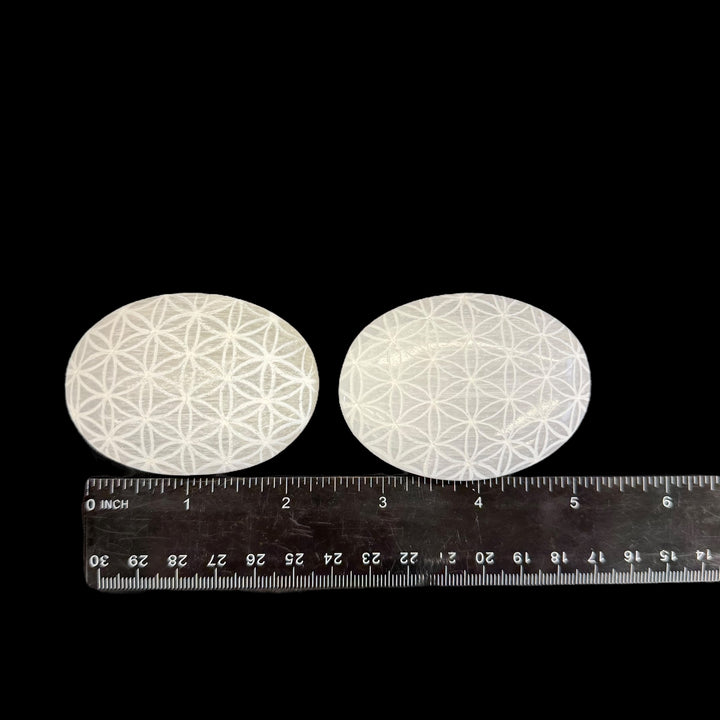 Engraved Selenite Palmstone - Flower Of Life - Funky Stuff