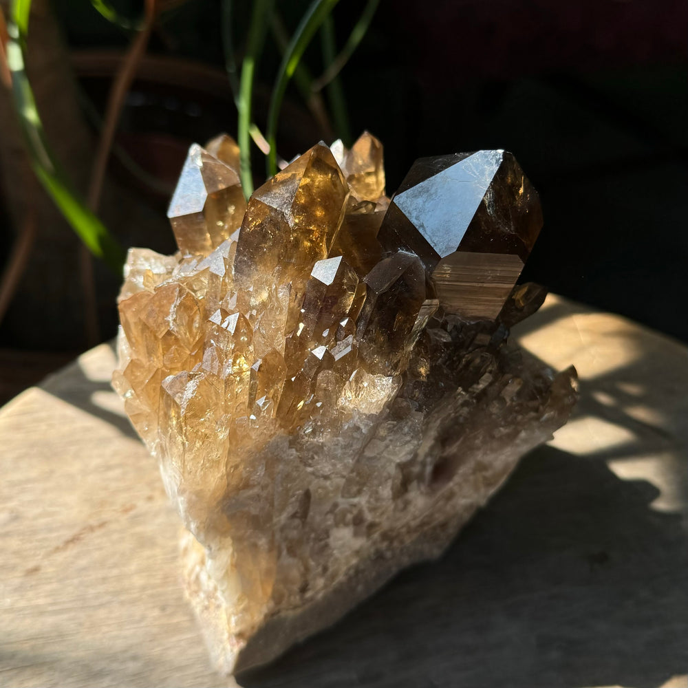 Kundalini Citrine - Funky Stuff