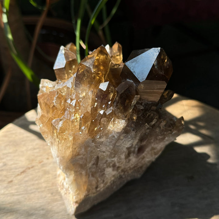 Kundalini Citrine - Funky Stuff