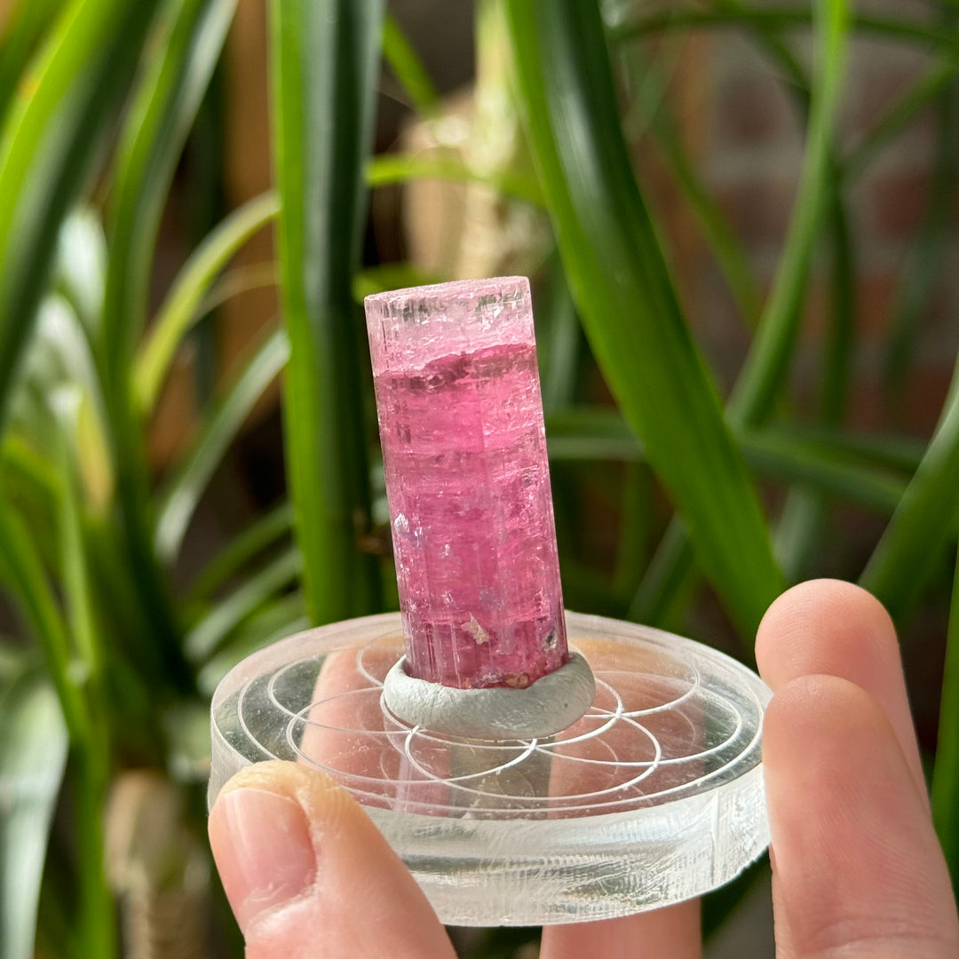 Pink Tourmaline - Funky Stuff