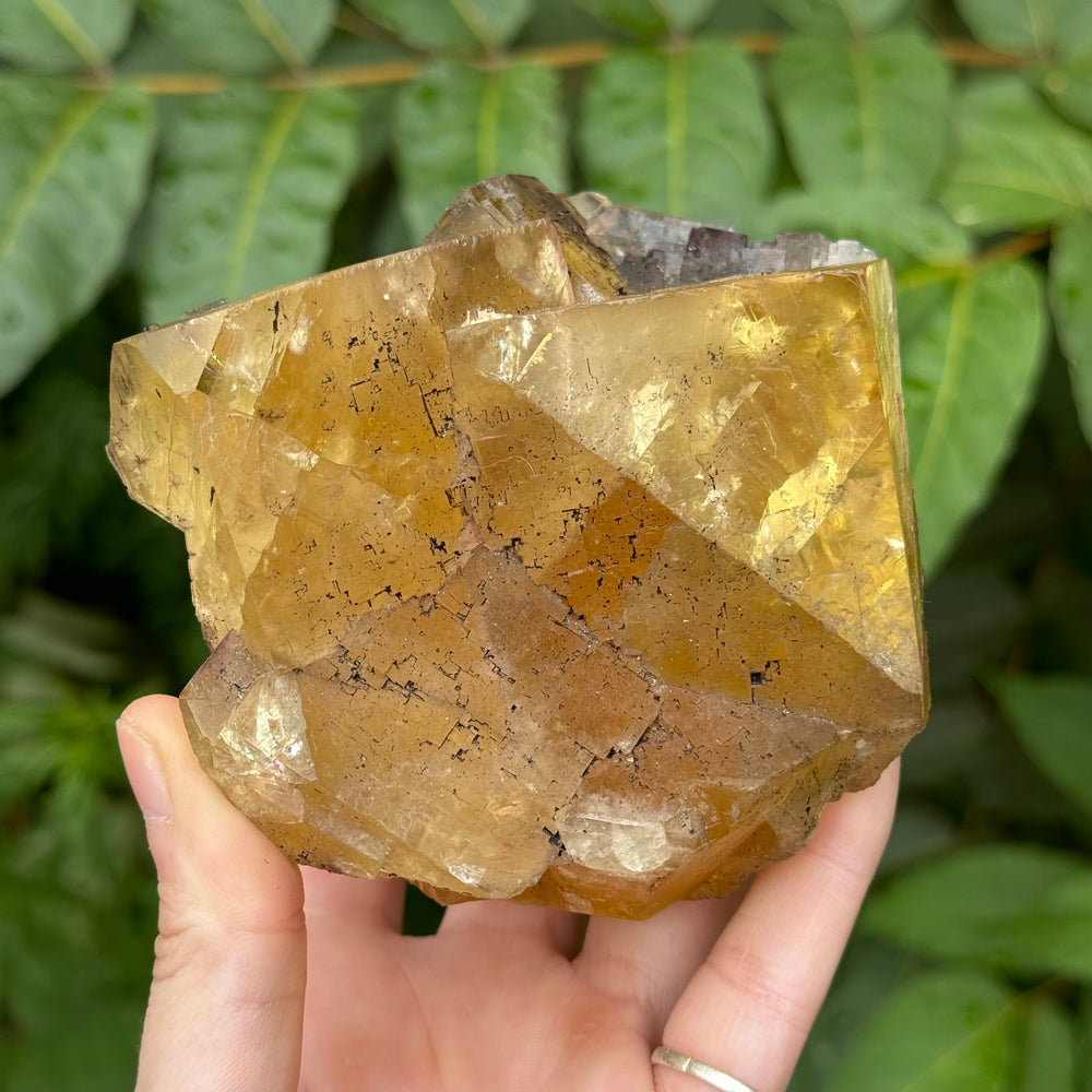 Fluorite - Funky Stuff