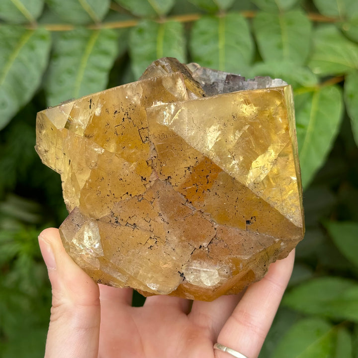 Fluorite - Funky Stuff