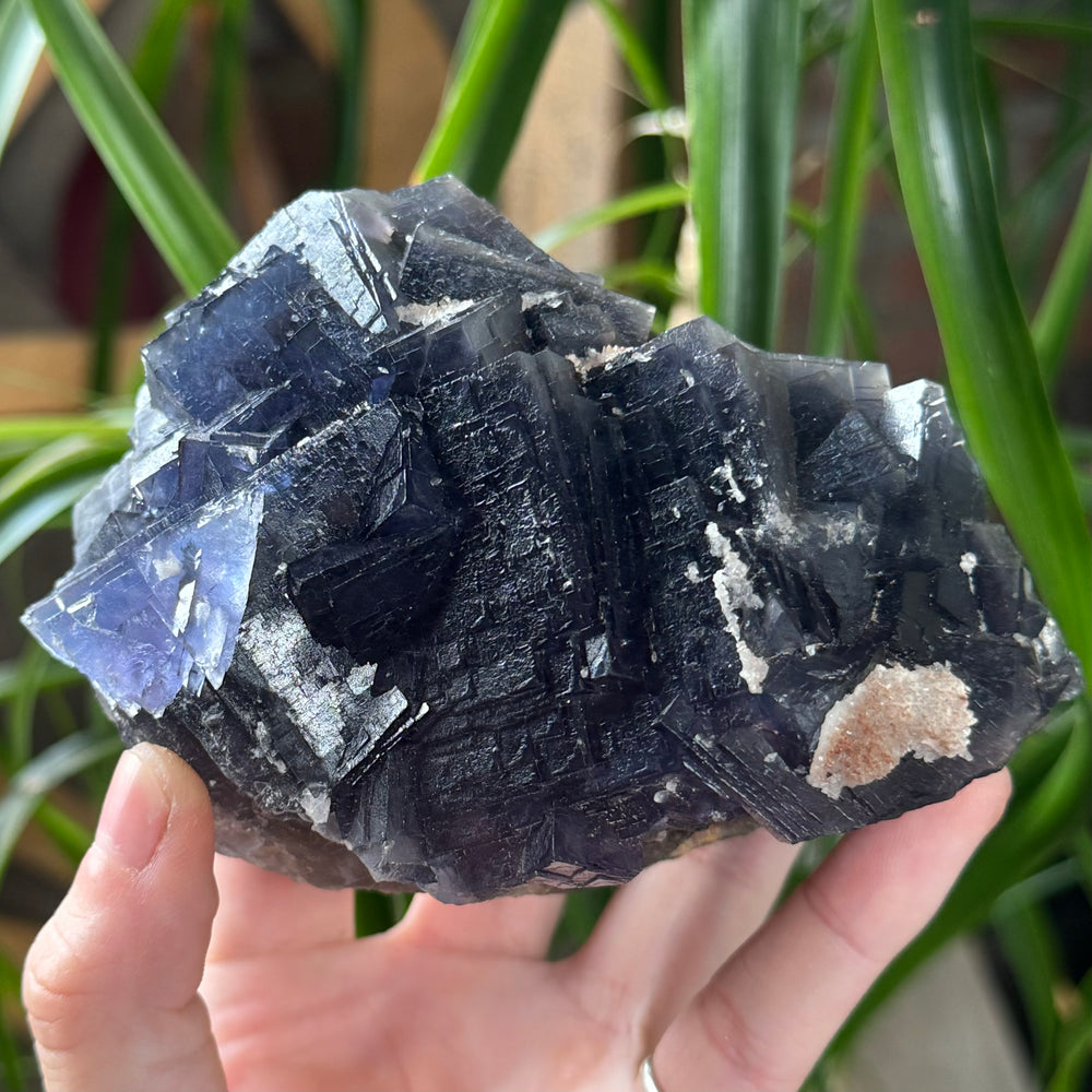 Fluorite - Pakistan - Funky Stuff