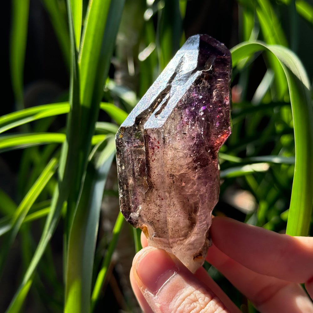 Shangaan Amethyst Scepter - Funky Stuff
