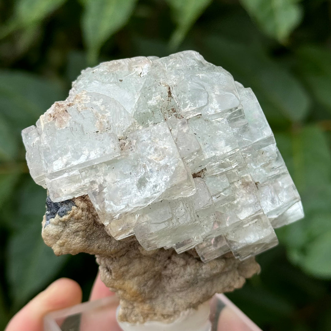 Fluorite - Funky Stuff
