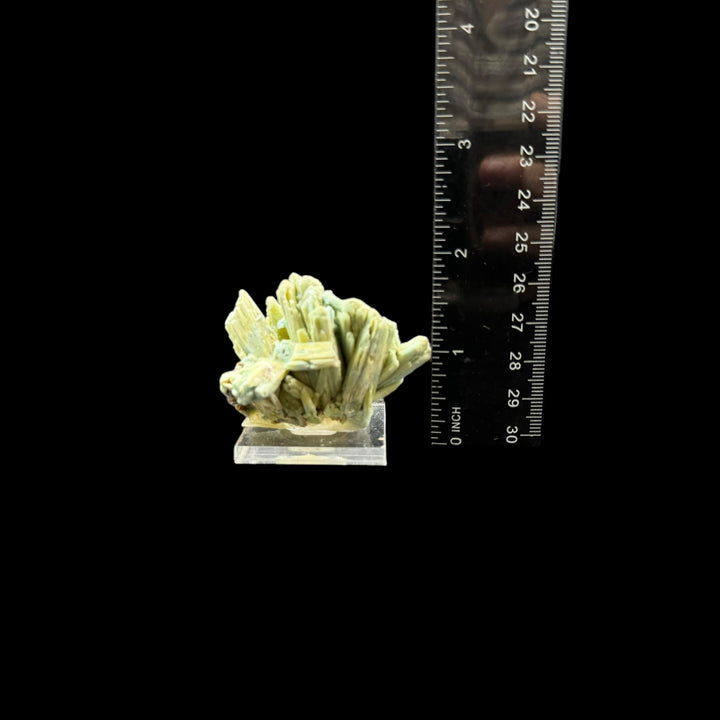 Plumbogummite - Funky Stuff