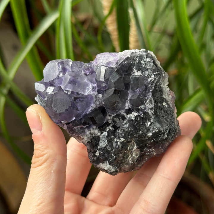 Fluorite - Funky Stuff