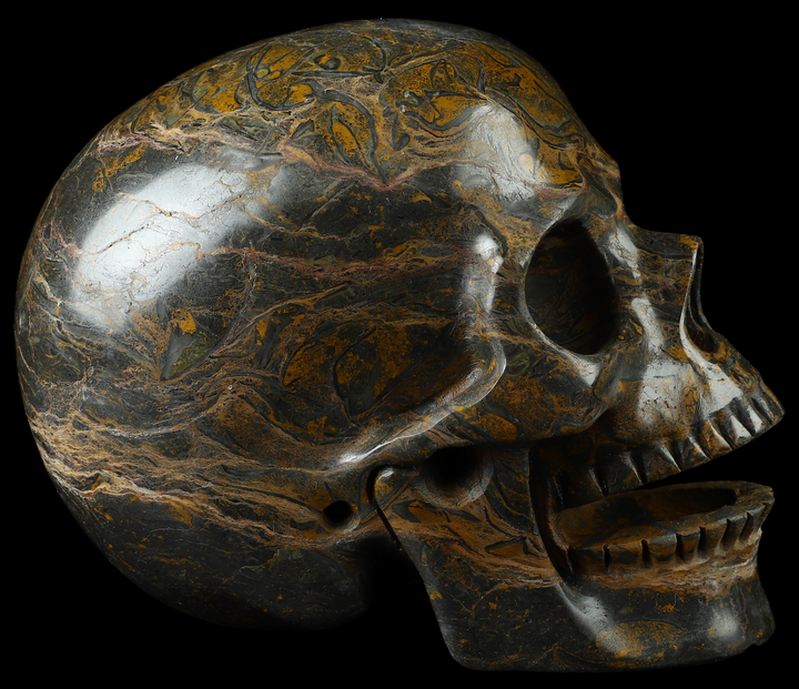 Floriated Jasper Skull - Funky Stuff