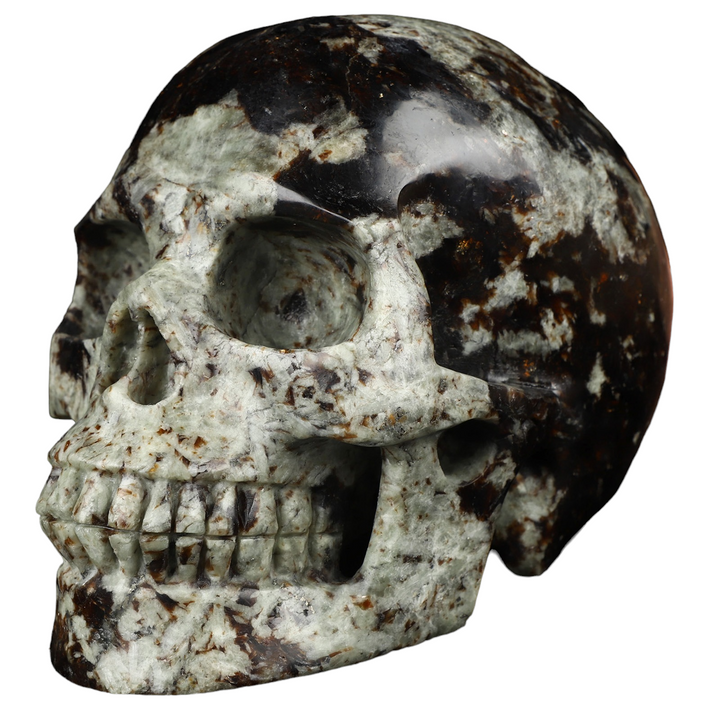 Garnet Skull - Funky Stuff