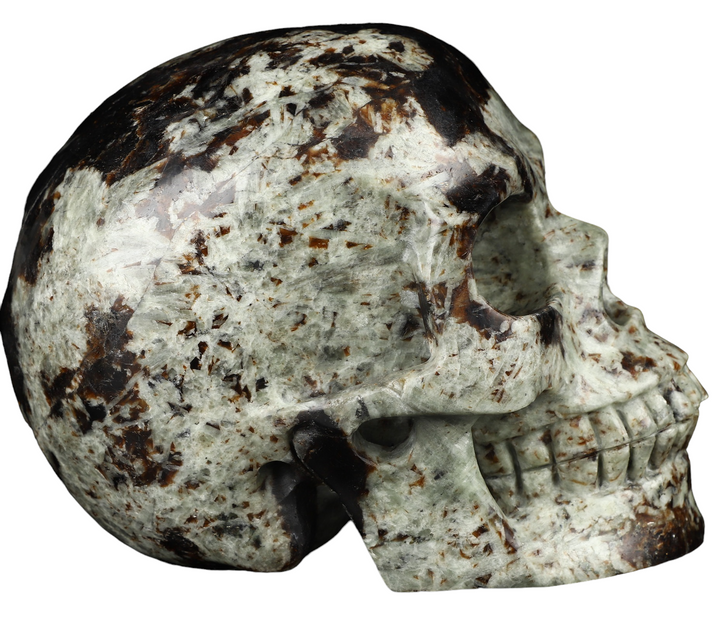 Garnet Skull - Funky Stuff