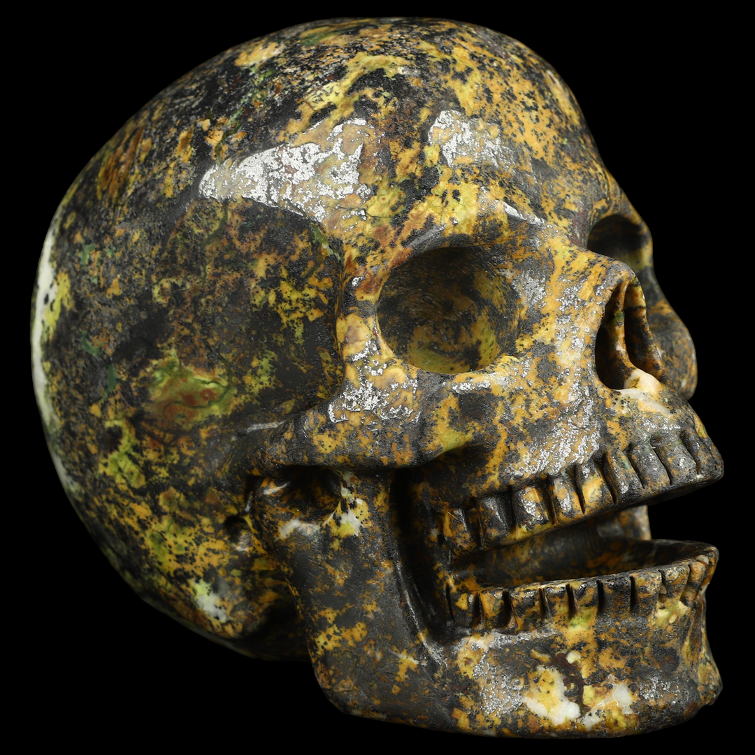 Hiso Jasper Skull - Funky Stuff